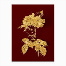 Vintage Damask Rose Botanical in Gold on Red n.0455 Canvas Print