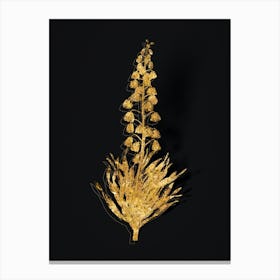 Vintage Persian Lily Botanical in Gold on Black n.0099 Canvas Print
