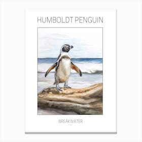 Humboldt Penguin Breakwater Watercolour Painting 3 Poster Canvas Print
