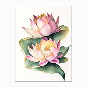 Double Lotus Watercolour Ink Pencil 2 Canvas Print