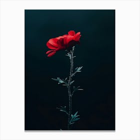 Dark Red Flower 1 Canvas Print