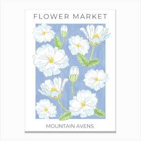 Flower Market Mountain Avens - white flowers on blue Canvas Print