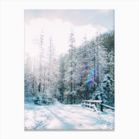 Sunlit Winter Landscape Canvas Print