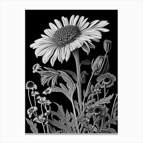 Helenium Wildflower Linocut 2 Canvas Print
