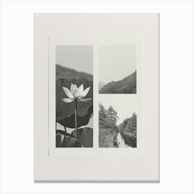 Lotus Flower Photo Collage 4 Canvas Print