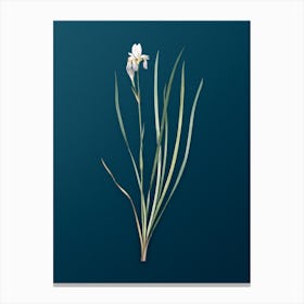 Vintage Siberian Iris Botanical Art on Teal Blue Canvas Print