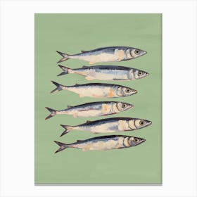 Sardines In Green Canvas Print