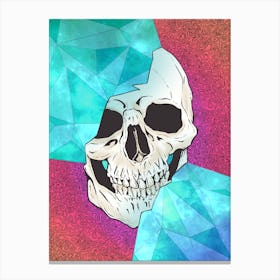 Skull Art Canvas Print