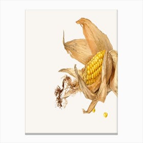 Corn On The Cob 1 Canvas Print