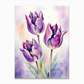 Purple Tulips 1 Canvas Print