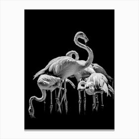 Flamingos Line Art Canvas Print