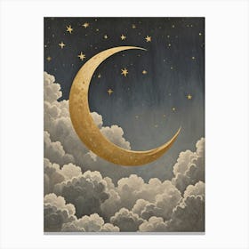 Moon And Stars no2 Canvas Print