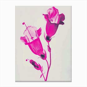 Hot Pink Foxglove 1 Canvas Print