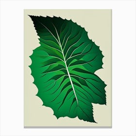 Calamint Leaf Vibrant Inspired 2 Canvas Print