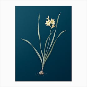 Vintage Gladiolus Lineatus Botanical Art on Teal Blue Canvas Print