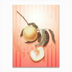 Duracina Peach Vintage Botanical in Peach Fuzz Awning Stripes Pattern n.0259 Canvas Print