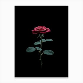 Rose On A Black Background 10 Canvas Print