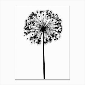 White black allium Canvas Print