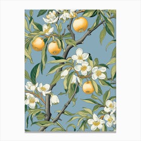 Peach Blossoms Canvas Print