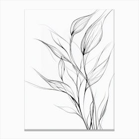 Abstract Drawing Of A Flower Canvas Print