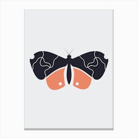 Buttefly Art Poster Canvas Print