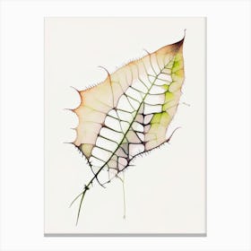 Venus Flytrap Leaf Minimalist Watercolour 1 Canvas Print