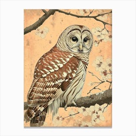 Barred Owl Vintage Illustration 3 Canvas Print