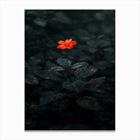 Dark Flower 25 Canvas Print