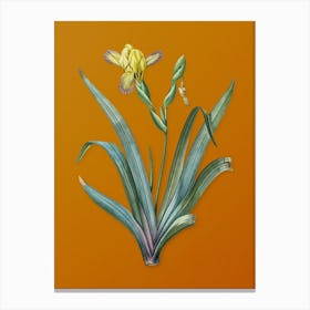 Vintage Hungarian Iris Botanical on Sunset Orange n.0539 Canvas Print