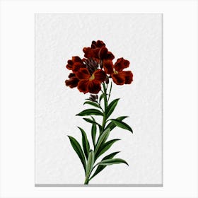 Red Flowers 3 Canvas Print