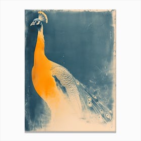 Navy Blue & Orange Vintage Photo Peacock Canvas Print