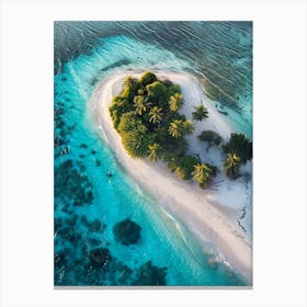 Island In The Maldives 2 Canvas Print