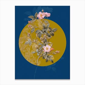 Vintage Botanical Pink Pompon Rose on Circle Yellow on Blue Canvas Print