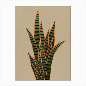 Snake Plant Canvas Print