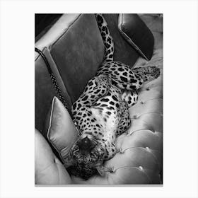 Panther On The Sofa Black And White Canvas Print