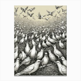 Flock Of Birds 2 Canvas Print