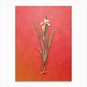Vintage Yellow Banded Iris Botanical Art on Fiery Red n.0642 Canvas Print