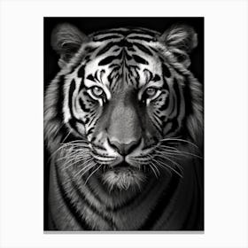 Black And White Photograph Of A Tiger Face Canvas Print