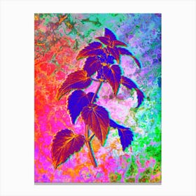 White Dead Nettle Plant Botanical in Acid Neon Pink Green and Blue n.0010 Canvas Print