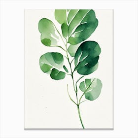 Watercress Leaf Minimalist Watercolour 2 Canvas Print