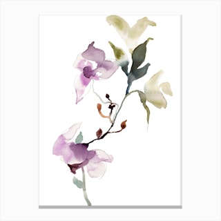 Orchid 7 Canvas Print