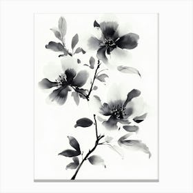 Black And White Flowers Canvas Print