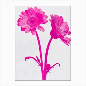 Hot Pink Gerbera Daisy 2 Canvas Print