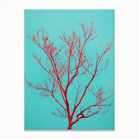 Red Tree Against Blue Sky 1 Canvas Print