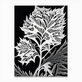 Sweet Cicely Leaf Linocut 1 Canvas Print