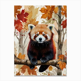 Red Panda In Autumn Canvas Print