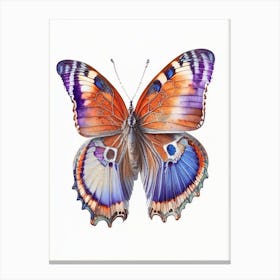 Gatekeeper Butterfly Decoupage 3 Canvas Print