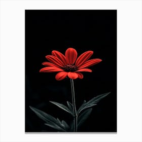 Red Flower 1 Canvas Print