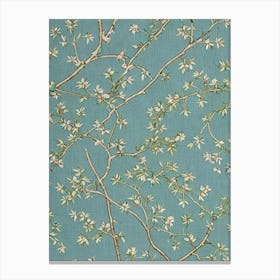 Camphor 1 tree Vintage Botanical Canvas Print