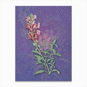 Vintage Red Dragon Flowers Botanical Illustration on Veri Peri n.0016 Canvas Print
